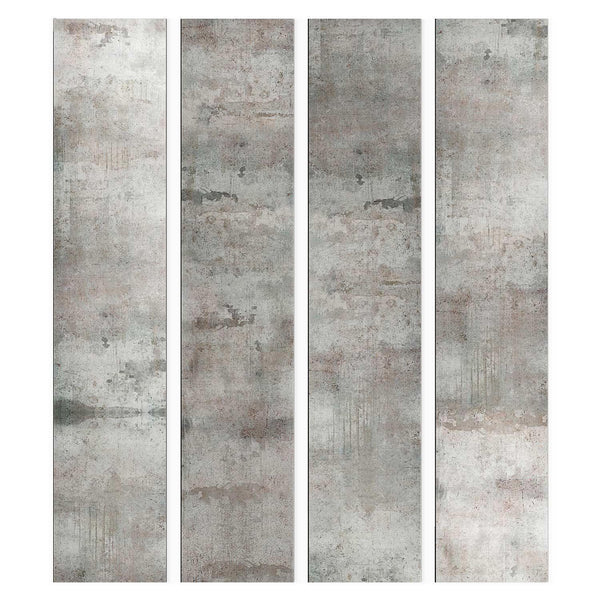 Carta da parati - Piccione grigio