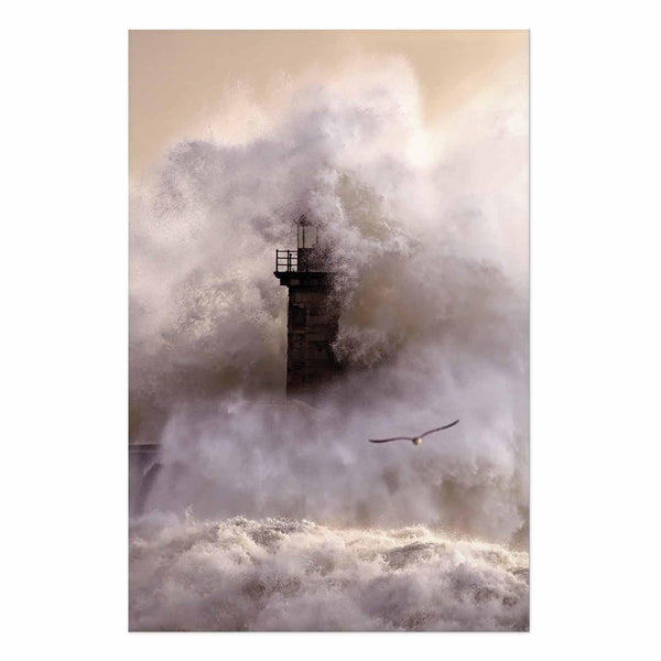 Poster - Storm