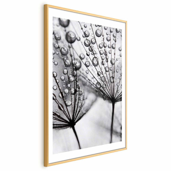 Poster - Macro Dew