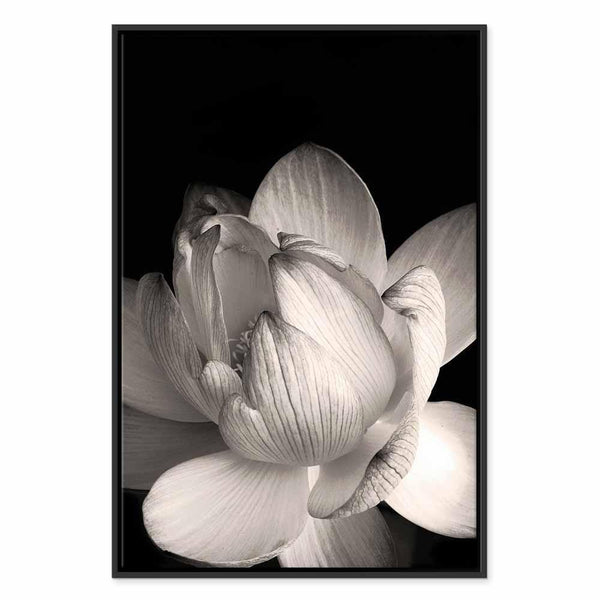 Quadro - Delicacy of Petals in Nature (1-part) - Flower in Black and White