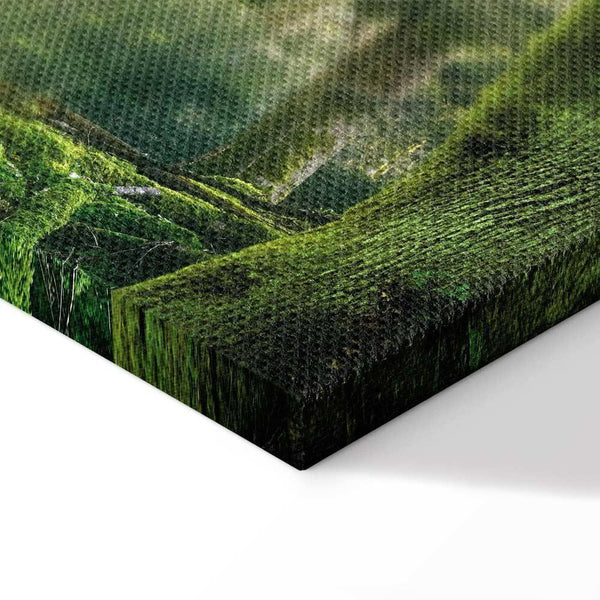 Quadro - The Beauty of the Forest