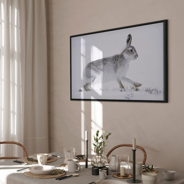 Quadro - Hare (1 Part) Wide