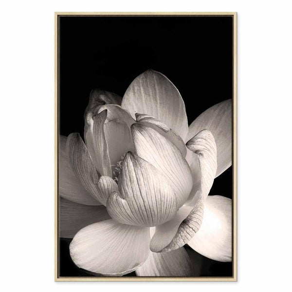 Quadro - Delicacy of Petals in Nature (1-part) - Flower in Black and White
