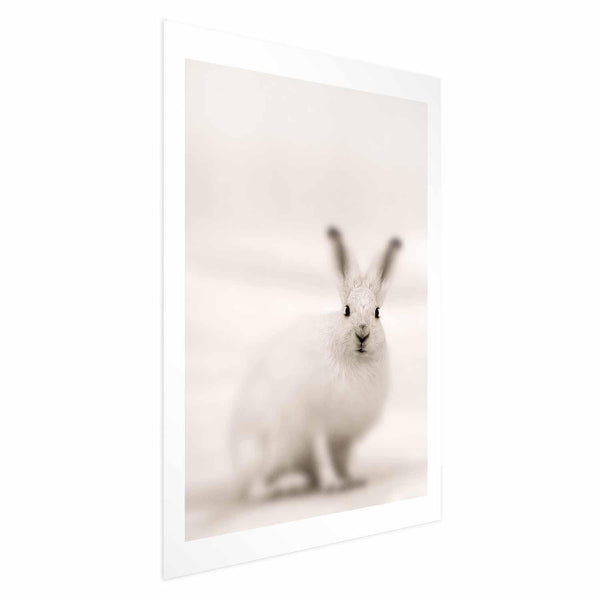 Poster - Fearful Look