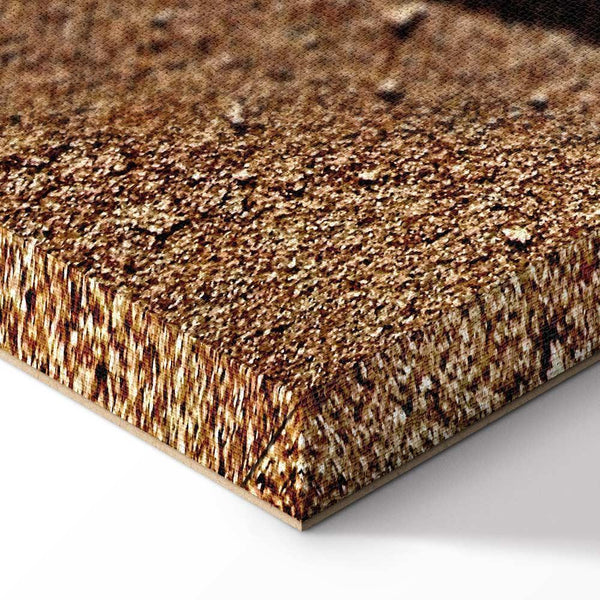 Quadro - Feather on the Sand (1 Part) Vertical