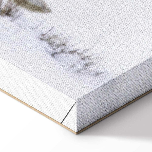 Quadro - Hare (1 Part) Wide