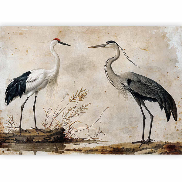 Carta da parati - Birds from an old engraving - vintage-style illustration depicting a heron and a crane
