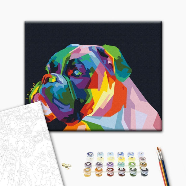 Quadro fai da te - Colourful Boxer