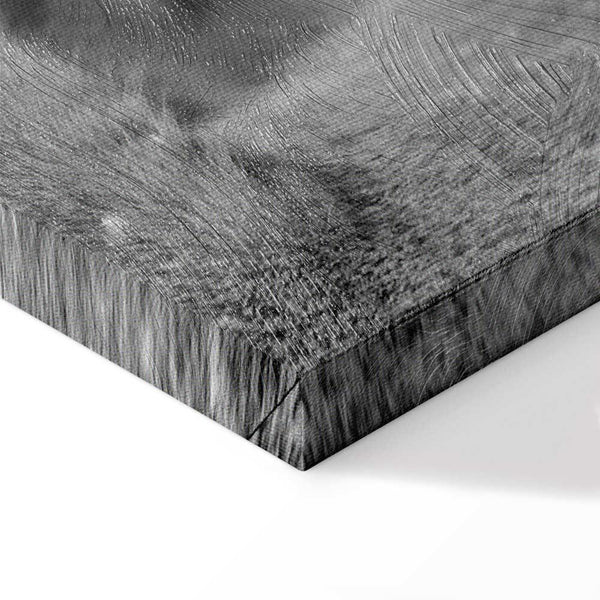 Quadro - Lion's Love