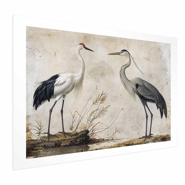 Poster - Birds from an Old Engraving - vintage-style illustration of a heron and a crane