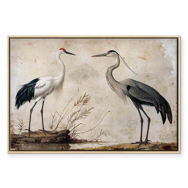 Quadro - Birds from an old engraving - vintage-style illustration depicting a heron and a crane