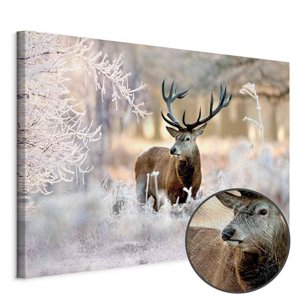 Quadro - Deer in the Cold