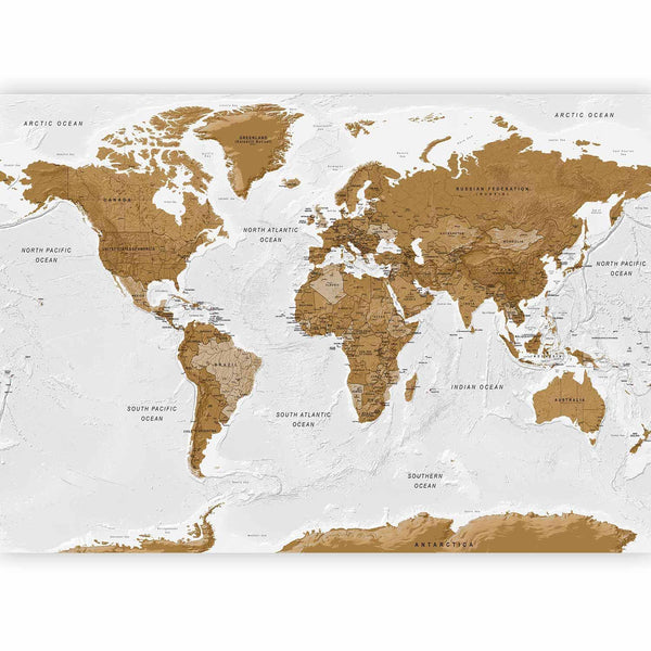 Carta da parati - World Map: White Oceans
