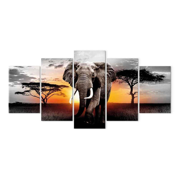 Quadro - Elephant at Sunset
