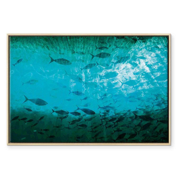 Quadro - A shoal of dark fish