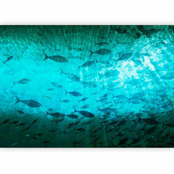 Carta da parati - A shoal of dark fish