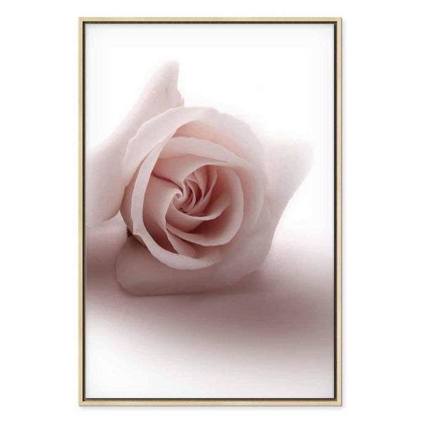 Quadro - Floral Glamour Glow (1-part) - Delicate and Pastel Pink Rose