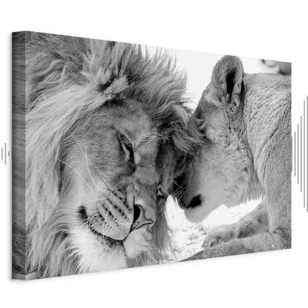 Quadro - Lion's Love