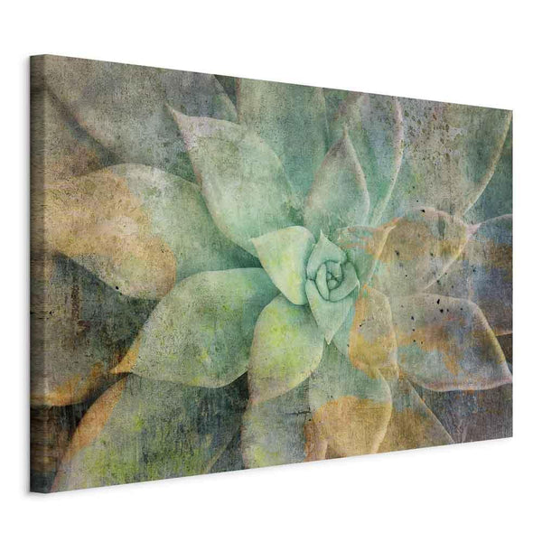 Quadro - Blooming Tones (1 Part) Wide