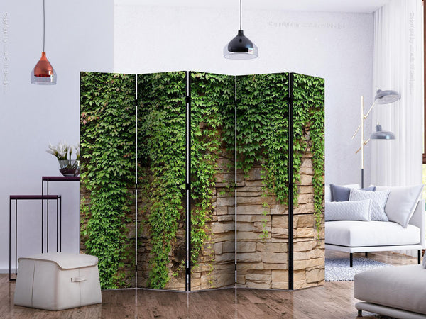 Paravento - Ivy wall II