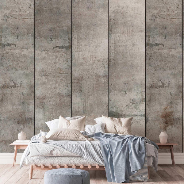 Carta da parati - Piccione grigio