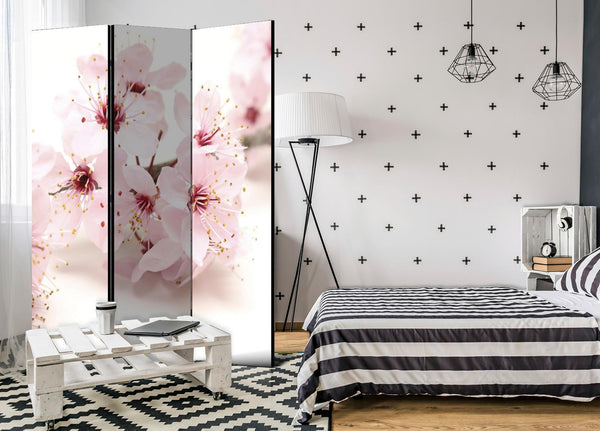 Paravento - Cherry Blossom