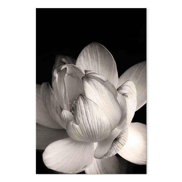 Quadro - Delicacy of Petals in Nature (1-part) - Flower in Black and White