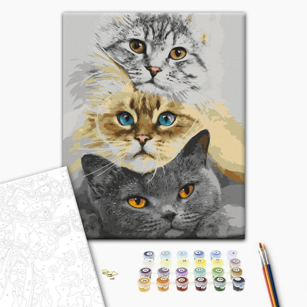Quadro fai da te - Cat's Trio