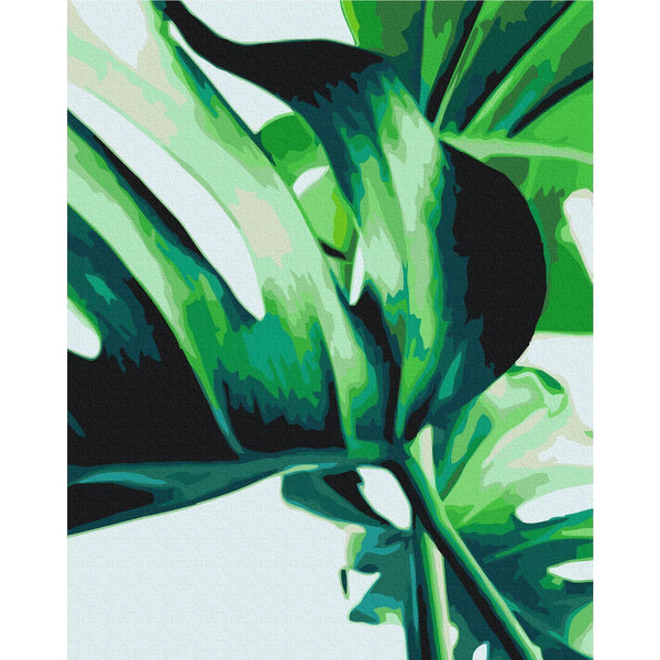 Quadro fai da te - Monstera Adansonii