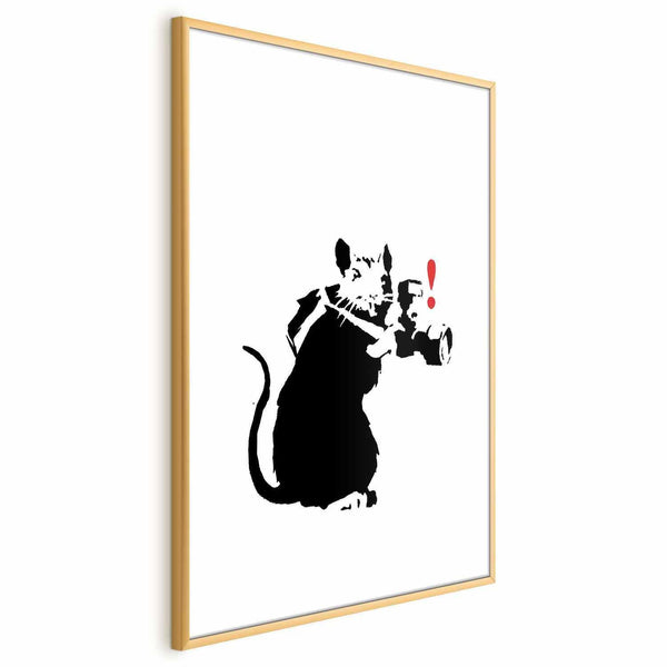 Poster - Photographer Rat