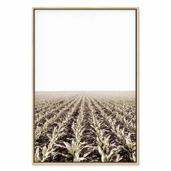 Quadro - Corn Field (1 Part) Vertical