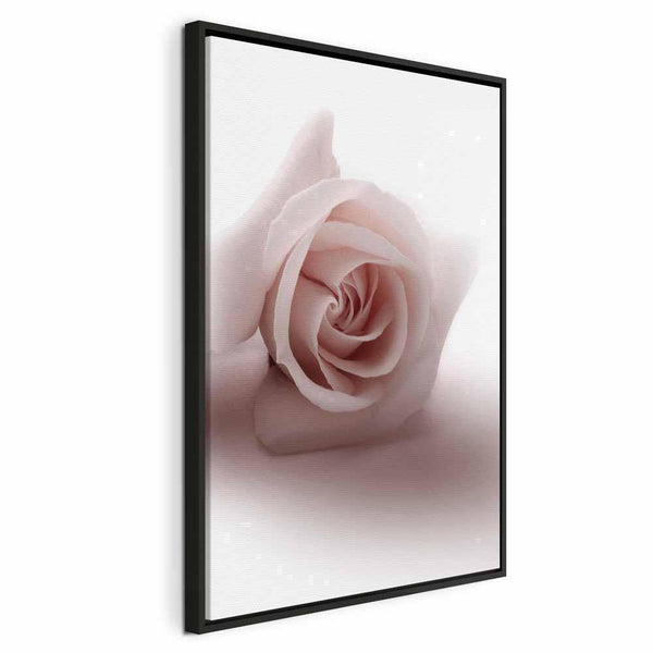 Quadro - Floral Glamour Glow (1-part) - Delicate and Pastel Pink Rose