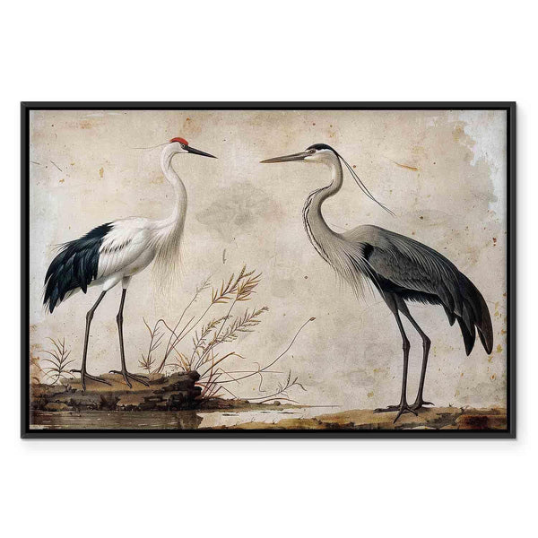 Quadro - Birds from an old engraving - vintage-style illustration depicting a heron and a crane