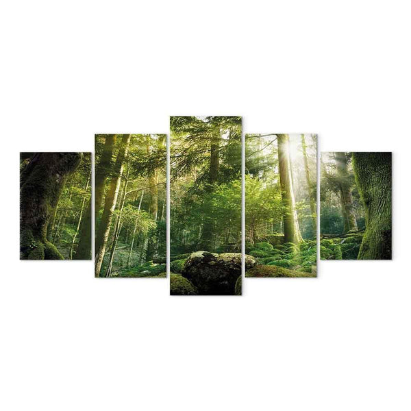 Quadro - The Beauty of the Forest