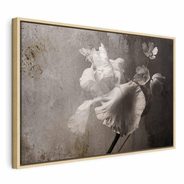 Quadro - Venetian Splendor (1 Part) Wide