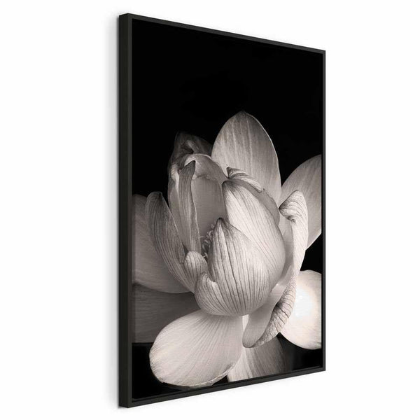 Quadro - Delicacy of Petals in Nature (1-part) - Flower in Black and White