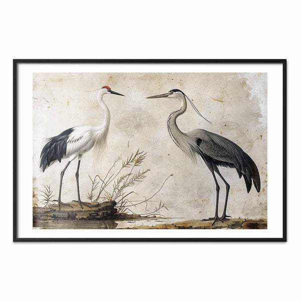 Poster - Birds from an Old Engraving - vintage-style illustration of a heron and a crane