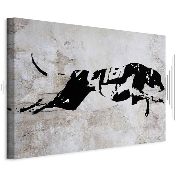 Quadro - Greyhound Race (1 Part) Wide