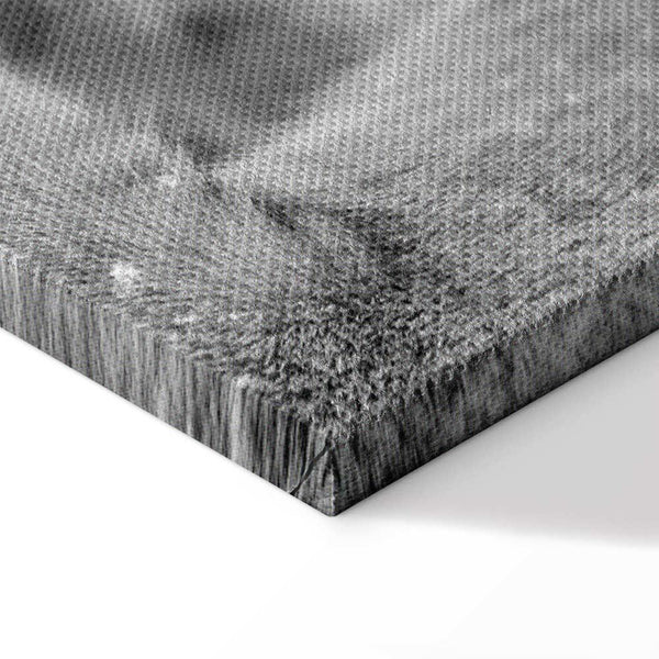 Quadro - Lion's Love