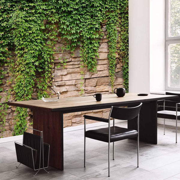 Carta da parati - Ivy wall