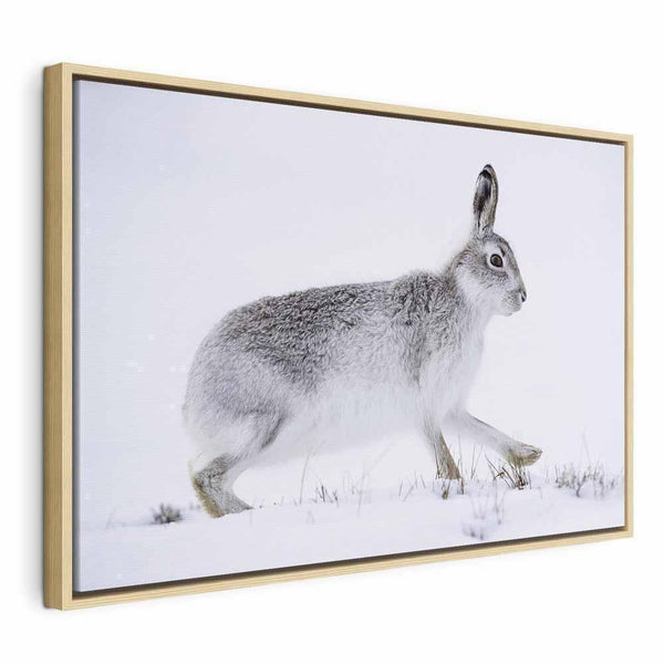 Quadro - Hare (1 Part) Wide