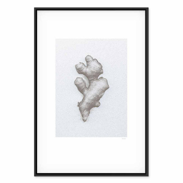 Quadro - Ginger (1 Part) Vertical
