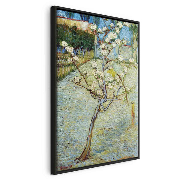 Quadro - Vincent van Gogh – Blossoming Pear Tree