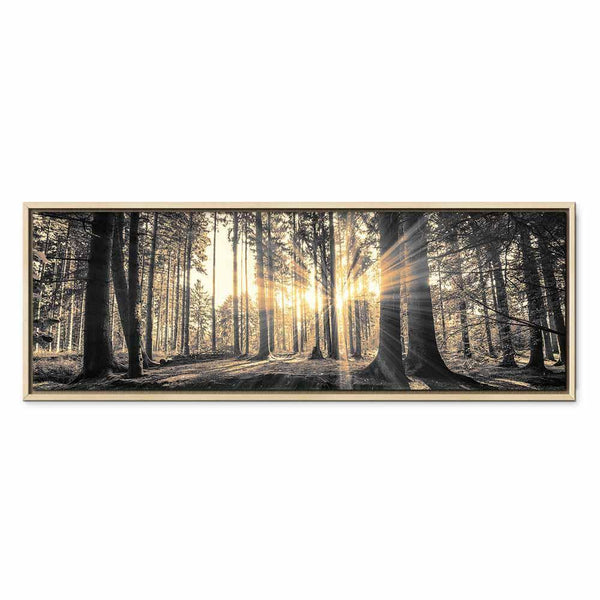Quadro - Forest Sun
