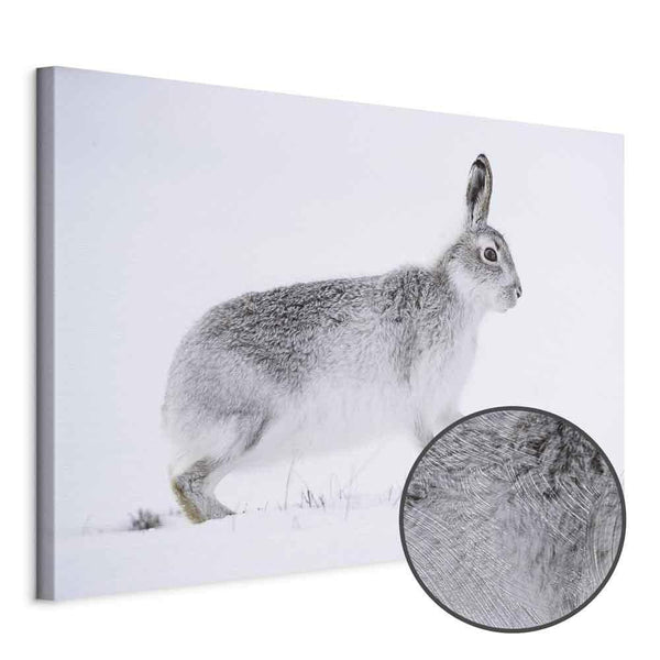 Quadro - Hare (1 Part) Wide