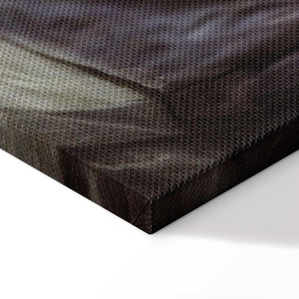 Quadro - Diego Velázquez – The Rokeby Venus