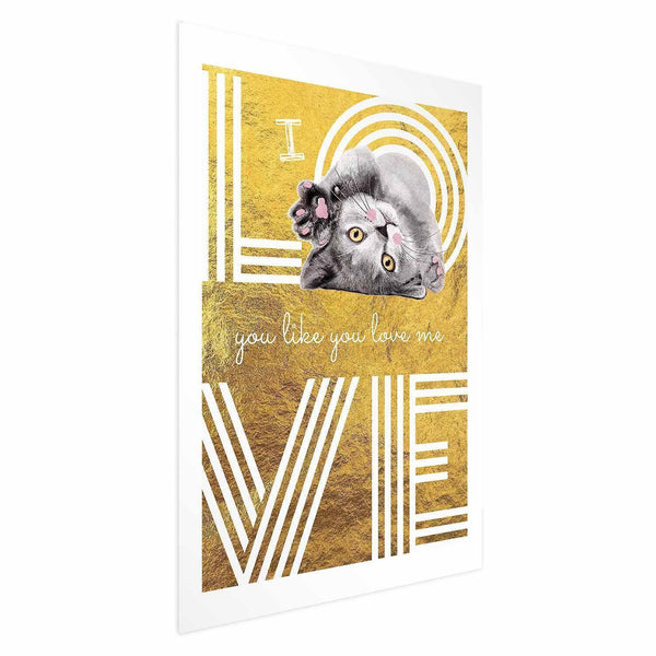 Poster - I Love You Like You Love Me
