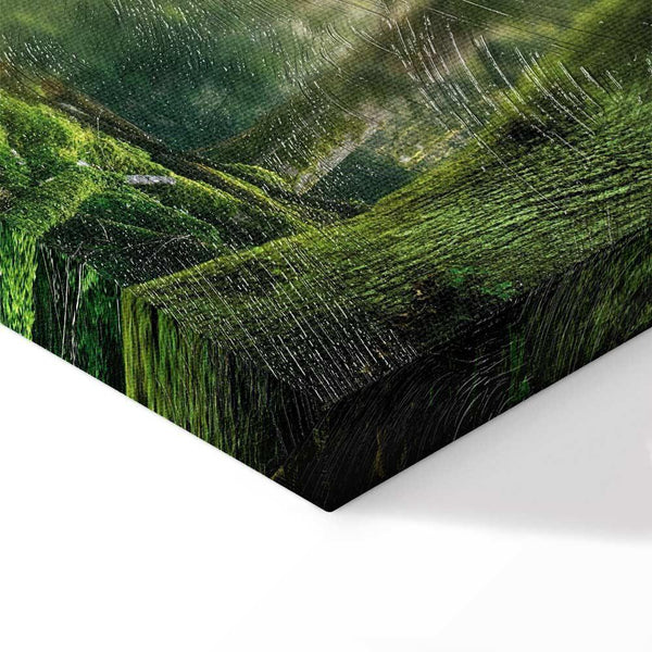 Quadro - The Beauty of the Forest