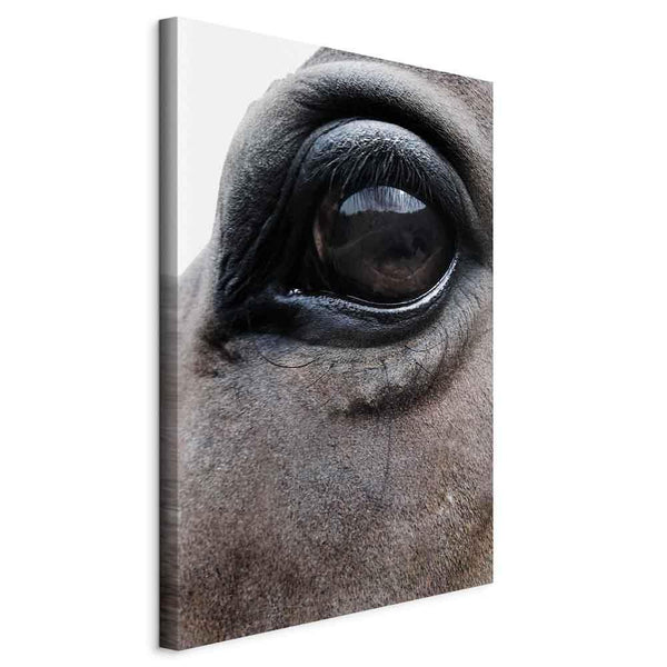 Quadro - Honest Eyes (1 Part) Vertical