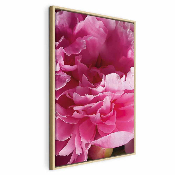 Quadro - Blossom of Beauty (1-part) - Pink Peony Flower Embraced by Nature